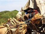 En somalisk familie på flugt fra kampene omkring byen Baidoa. 
