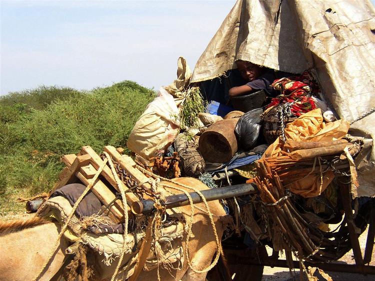 En somalisk familie på flugt fra kampene omkring byen Baidoa. 