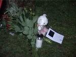 Bamse