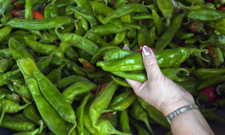 videnskabsfolk har opdaget at jalapenopeber indeholder et særligt stof, som kan dræbe kræftceller. 
