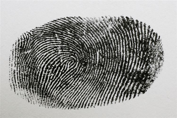 Både fingeraftryk og DNA-oplysninger kan udveksles frit mellem landene, hvis en ny traktat bliver ophøjet til EU-lovgivning. 