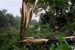Foreløbig er 20 træer væltet på landsplan, men i den kommende nat meldes om "fuld storm" med vindstød af orkanstyrke især i Nordjylland. 