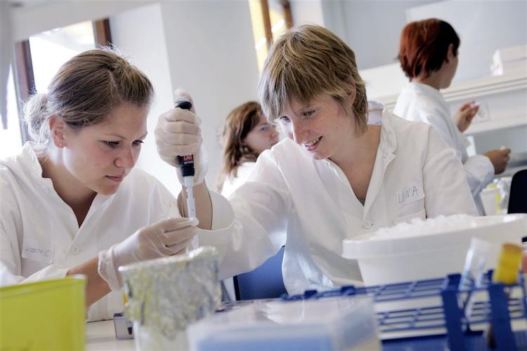 Eleverne vælger den naturvidenskabelige retning, fordi den åbner flest døre i deres fremtidige studievalg, mener rektorforeningens formand Peter Kuhlman. 