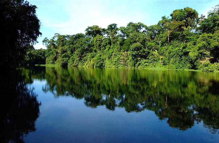En nu 27-årig kvinde er fundet efter 19 år i den cambodianske jungle. 