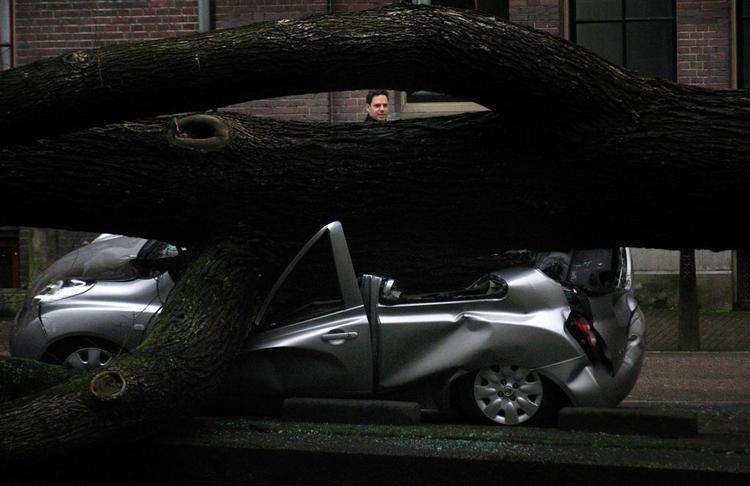 I Amsterdam kigger en forbipasserende på et træ. der væltet ned over en bil i den voldsomme storm. 