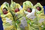 Bliver et barn født i Hong Kong, har det langt bedre mulighed for uddannelse og velfærd end kineserne på fastlandet. 