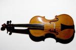 violin1000