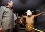 Den tidligere malaysiske premierminister Mahathir Mohamad åbnede i dag en konference, der blandt andet udstiller amerikanernes behandling af fanger på Guantanamo som krigsforbrydelser. 