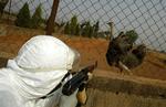 Det første menneske er død af fugleinfluenza i Nigeria. Det bekræfter WHO i dag 