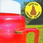 carlas-paeredansk_f