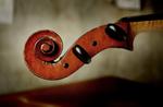 Cello3- Kåre Viemose