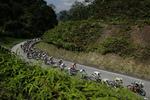 Dagens ottende etape i Tour de Langkawi gik gennem nogle af Malaysias barske stigninger. 