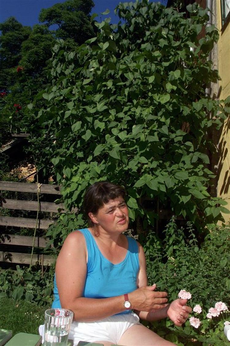 Enhedslistens Jette Gottlieb forstår ikke korruptionsmistanke i byggesag. 