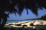 THAILAND QUAKE TSUNAMI TOURISM