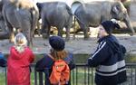 Børn holder vinterferie i zoo. 