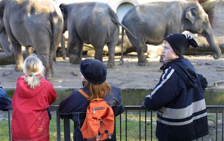 Børn holder vinterferie i zoo. 