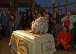 I Tampas zoologiske have åbnes dørene omkring Valentins dag for et voksent publikum, der får fascinerende oplysninger om dyrenes sexliv. Blandt andet om det forsigtige sexliv et pindsvin har sig. 