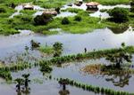 Storm dræber 4 og efterlader massive ødelæggelser i Mozambique. 
