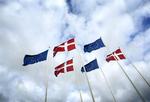 Den gennemsnitlige europæer er en underlig størrelse 