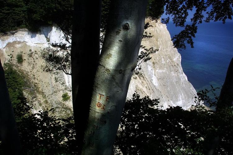 Naturen er lunefuld, også på Møns Klint 