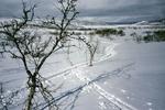 Skisportsstedet Hovden i Norge