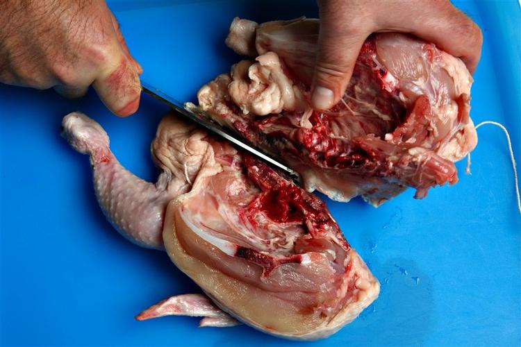 Danske kyllinger har færre salmonellabakterier end udenlandske, men salget af de udenlandske stiger mest. 