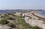 En bro til Tyskland er spild af milliarder. I stedet bør man bygge en bro fra Kalundborg over Samsø til Jylland, mener trafikforsker. 