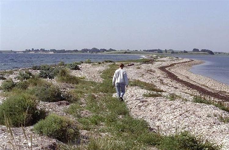 En bro til Tyskland er spild af milliarder. I stedet bør man bygge en bro fra Kalundborg over Samsø til Jylland, mener trafikforsker. 