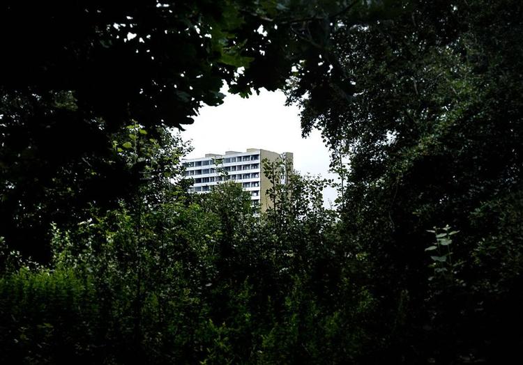 Flere velintegrerede nydanskere flygter ud af ghettoer som f.eks. Vollsmose. 