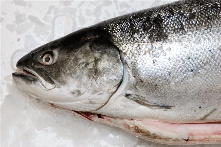 Den her fisk må ikke sælges til en kunde, som vil lave sushi. 