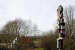 Der er delte meninger om, hvad fuglekasserne skal være bygget af - pris i forhold til holdbarhed er det afgørende. 