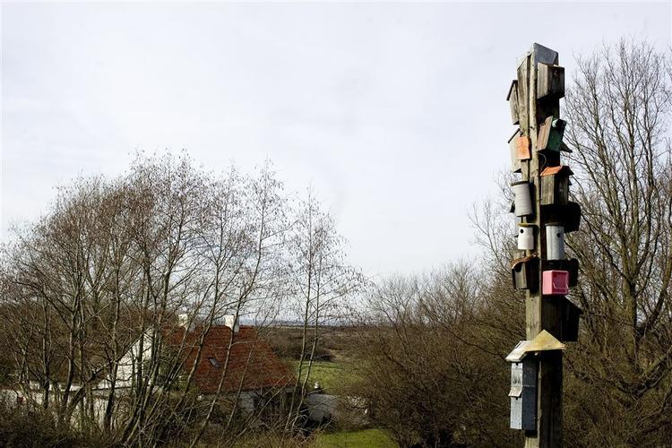 Der er delte meninger om, hvad fuglekasserne skal være bygget af - pris i forhold til holdbarhed er det afgørende. 