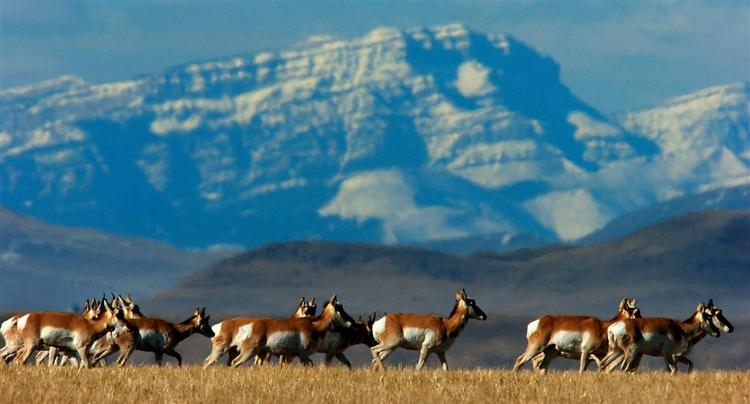 Sådan kender vi turistreklamer: Skøn natur. I West Virginia beder man i stedet for turisterne om at skrubbe af. 