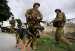 Australsk militærpatrulje med sporhunde i hovedstaden Dili. 