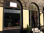 Tribeca markfront