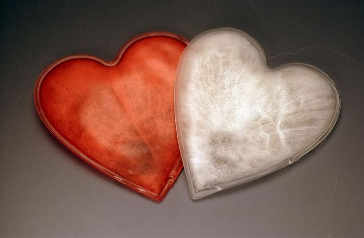 Det er så yndigt at følges ad, men så hamrende svært at bryde op igen. 