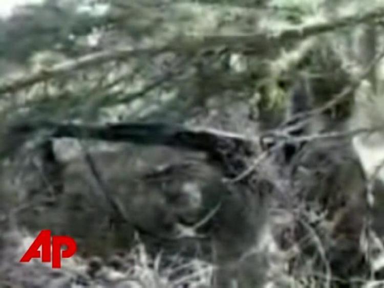 En tysk soldat får ordre om at tænke på sorte, når han skyder. Billedet er taget fra det lille videoklip, der florerer i medier og på nettet. 