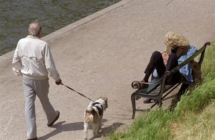 Det vides endnu ikke om bænkene langs Søerne i København bliver udvalgt til 'elskovsreder'. Men et af kriterierne er, at sex i naturen ikke må genere andre... 