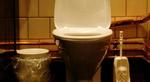 Et mindre højteknologisk ikke-brandfarligt toilet (arkivfoto). 