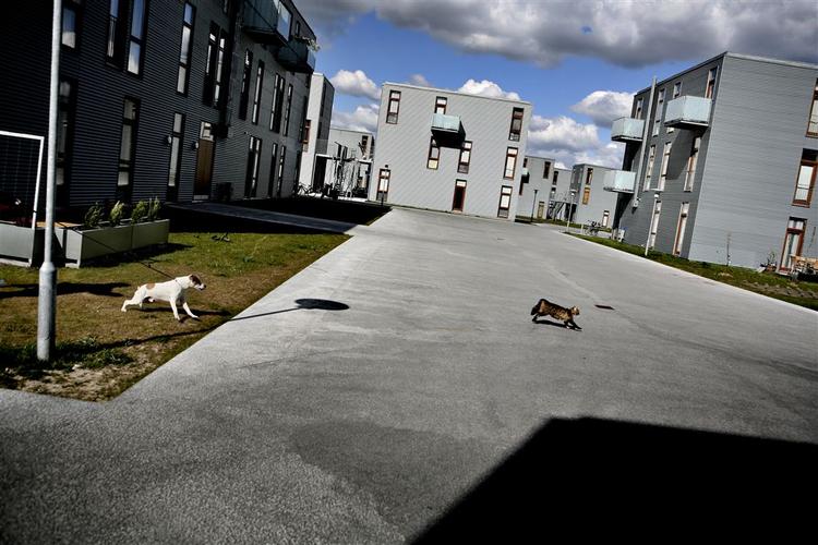 Eksempel på Bedre Billigere Boliger ved Køge. 