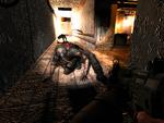 Kun det notoriske 'Duke Nukem Forever' har med sine indtil videre ti års tilblivelse været længere undervejs end 3D-skyderen 'S.T.A.L.K.E.R.'. Det glemmer man dog, når man endelig føler sig som ét med den sære postapokalyptiske labyrint Zonen. 