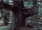 lox_ek_28-04-2007_UI2AO4B.jpg