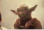 Yoda