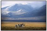 Svalbard