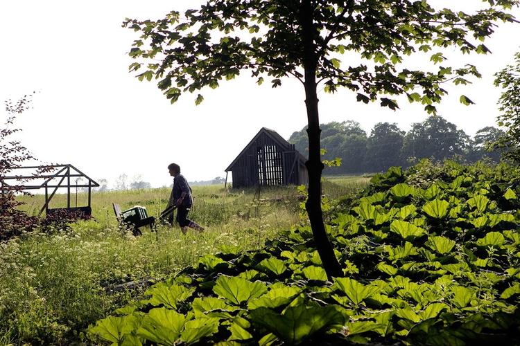 Landmændene nyder godt af, at forbrugerne vil betale mere end tidligere for deres fødevarer. 