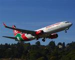 Et fly af denne type 737-800 styrtede ned lørdag. 114 passagerer er savnet. 