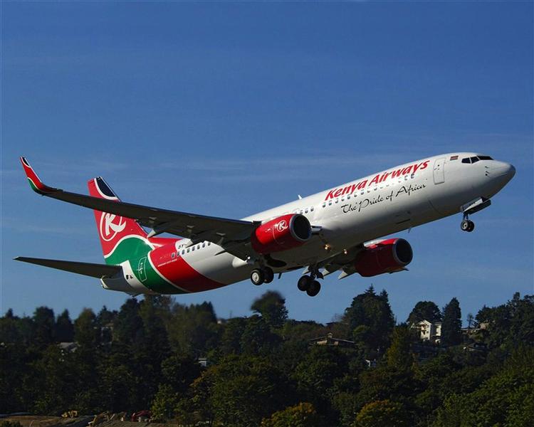 Et fly af denne type 737-800 styrtede ned lørdag. 114 passagerer er savnet. 