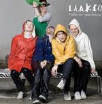 Laakso copy