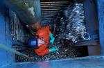 Tobisfiskeriet er af afgørende for den danske fiskeindustri. 