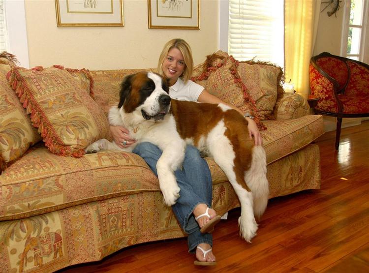 Pam Bondi sidder med Master Tank, som hun har adopteret og nu besluttet sig for at give tilbage til hundens oprindelige familie. 